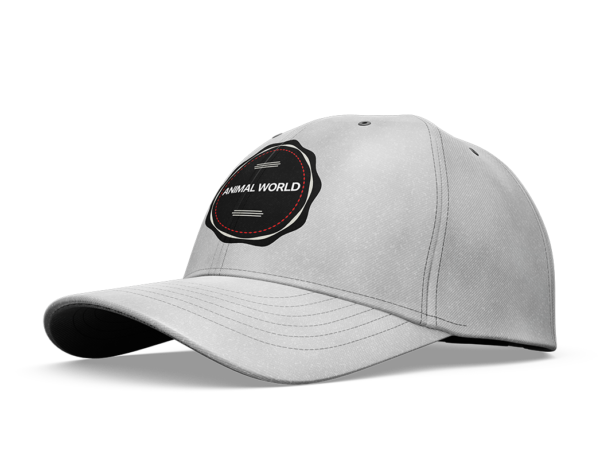 Man Cap